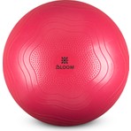 Bloom LB7051 55 Cm Pilates Topu Pembe