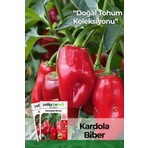 Patika Botanik 200 Adet Kardola Biber Tohumu (Mini Kapya)
