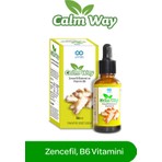 Armin Calm Way