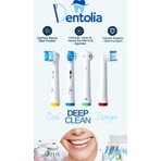 Dentolia Oral-B Uyumlu 4 Adet Şarjlı Ve Pilli Diş Fırçası Yedek Başlığı Deep Clean Orta Sert Kıllar