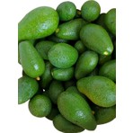 Has Organik Avokado 1 kg Mini Boy