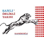 Şanlı 1 Adet Sırt Bel Boyun Yakısı Şanlı Yakı