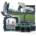 Bird-X Peller Pro Sonik Kuş Kovucu 25.000 M2 Etkili
