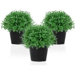 Saksılı Yoğun Kokulu Fesleğen Fidanı 3 Adet 10-20 cm Basil Flower