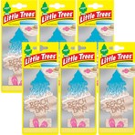 Car Freshner Asma Koku 6'lı Plaj Günleri
