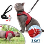 Arnee Kedi Gezdirme Boyun Tasması Siyah - Kırmızı Renkli Pratik Kullanım İçin Hava Geçirgen Materyal