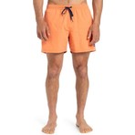 Quiksilver Everyday Solid Volley 15 Erkek Şort EQYJV04120