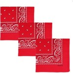 Berg Atelier Şal Desenli, Etnik Desen Bandana Seti