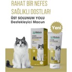 Mixtura Pharma Lysine Kedi Üst Solunumm Yolu Destekleyici Macun - Kedi Maltı