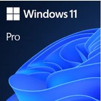 Windows 11 Professional-Elektroniklisans