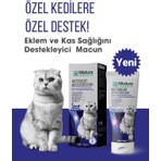 Artrocat Eklemm ve Kas Sağlığını Destekleyici Macun Kedi Maltı
