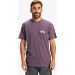 Quiksilver Ev Mini Logo Ss Erkek T-Shirt