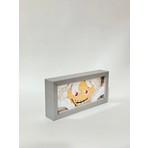 Luffy1 3D Anime Lightbox Işıklı Kutu Tablo