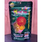 Okiko Flowerhorn Head Up Yemi M 100 gr