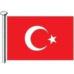 Saray Türk Bayrağı  30X45