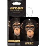Areon Wild Professor Oto Araç Kokusu