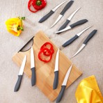 Schafer Quick Chef 10 Parça Gri Bıçak Seti Günlük Kesim İçin Ergonomik Tasarım