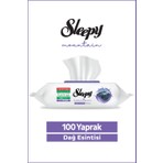 Sleepy Mountain Yüzey Temizlik Havlusu&mendili Dağ Esintisi 100 Yaprak