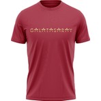 GS Store Galatasaray 5 Yıldız T-Shirt E251501
