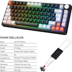 Gameagle Strike Compact Mekanik Klavye Hot Swap Anti Ghosting Türkçe Örgü Kablo Oyuncu Klavyesi