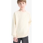 DeFacto Bisiklet Yaka Basic Düz Okul Sweatshirt Erkek Çocuk E8415A825AU
