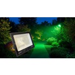 BMG Aydınlatma 100 Watt Smd LED Projektör Yeşil Işık Ağaç, Bahçe, Çim Aydınlatması