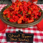 Zengarden Bhut Jolokia Biber Tohumu 1 Paket Geleneksel Tohum Dünyanın En Acı Biberi