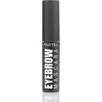 Pastel Profashion Kaş Maskarası Siyah Renkli Hacim Artırıcı Etki 24 ml
