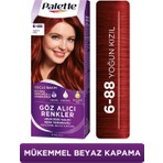 Palette Saç Boyası Renkler Colors 6/88 Yoğun Kızıl