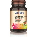 Validus Olive Leaf Extract 350 mg + Fig Extract 350 mg + Astaxanthin 5 mg 60 Capsules