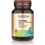 Validus Fucoidan 500 Mg 30 Capsules (OKİNAWA MOZUKU EXTRACT) (DRCAPS)