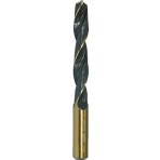 Werko 0,5mm HSS/DIN338 Matkap Ucu