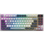 Msı Forge GK600 Tkl Wıreless Sky Rgb Mekanik Linear Kablosuz Türkçe Gaming Klavye