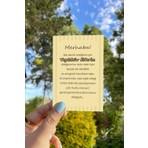 Ben Geldim... Ayıcık Temalı 50 Adet Teşekkür Kartı 8,5x5,5 cm