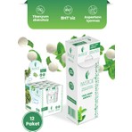 Mastiqe  Yeşil Nane Aromalı Damla Sakızlı Şekersiz Sakız 20  gr x 12 Adet