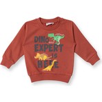 Hellobaby Erkek Bebek Sweatshirt  Dinazor Baskılı Bisiklet Yaka Uzun Kol