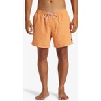 Quiksilver Everyday Solid Volley 15 Erkek Deniz Şortu