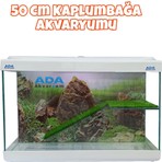 ADA AKVARYUM Bahçeli Rampalı Su Kaplumbağası Akvaryumu 50X30X20 cm Doğal Dinlenme Alanı