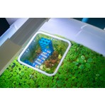 Akvaryum Balık Besleme Halkası - 15X15 cm Yüzen Kare Yemleme Alanı | Bitki Ayırıcı Çerçeve