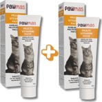 Pawmas Multivitamin Kedi Macunu 100GR x 2 Adet