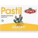 Otacı Adaçayı Pastil 16 Adet
