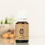 Aromatika Oudh Buhurdanlık Kokusu