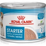 Royal Canin Starter Mother&babydog Gebe/laktasyondaki Anne Ve Yavru Köpekler Için Köpek Konservesi 195g