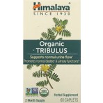 Himalaya Organic Tribulus 700 Mg 60 Tablet