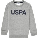 U.S. Polo Assn. Erkek Çocuk Gri Melanj Basic Bisiklet Yaka Sweatshirt 50307801-VR086