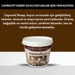 Royal İlaç Royal Caprovit Sheep 25 kg