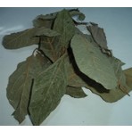 Aktar Depo Avokado Yaprağı 100 gr