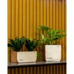 Greenmall Sirona Saksı 3'lü Set