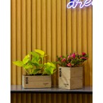 Greenmall Clota Saksı 2'li Set