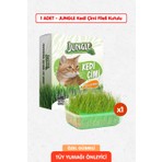 Jungle %100 Doğal Kedi Çimi Fileli ve Kutulu Tüy Yumağı Önleyici 1 Adet Özel Gübreli